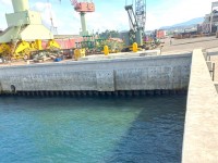 TSUNEISHI HEAVY INDUSTRIES (CEBU), INC.